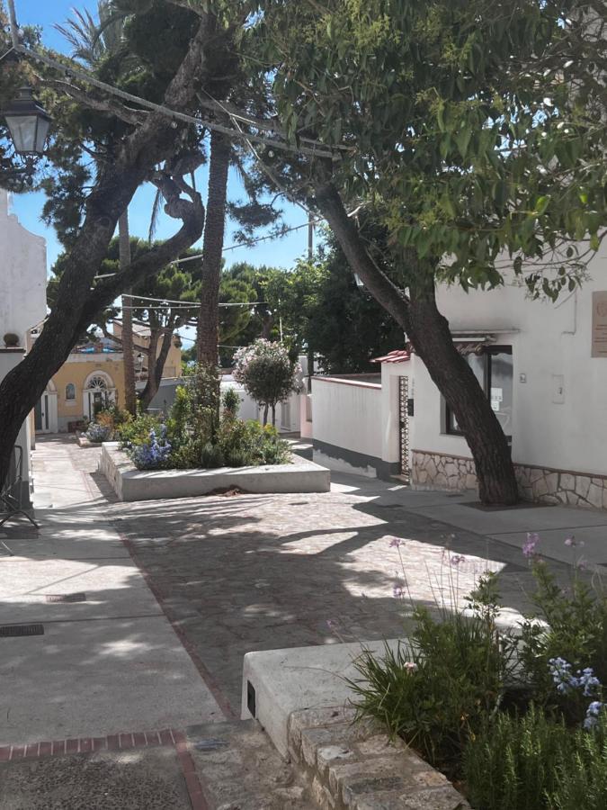 Bed and Breakfast Casa Dora Anacapri  Exteriér fotografie